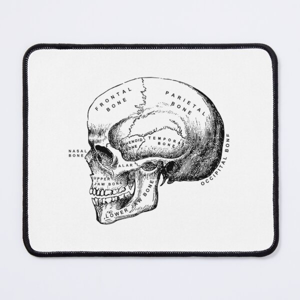 Item preview, Skull designed and sold by dobiegerl.