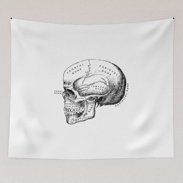 Item preview, Skull designed and sold by dobiegerl.
