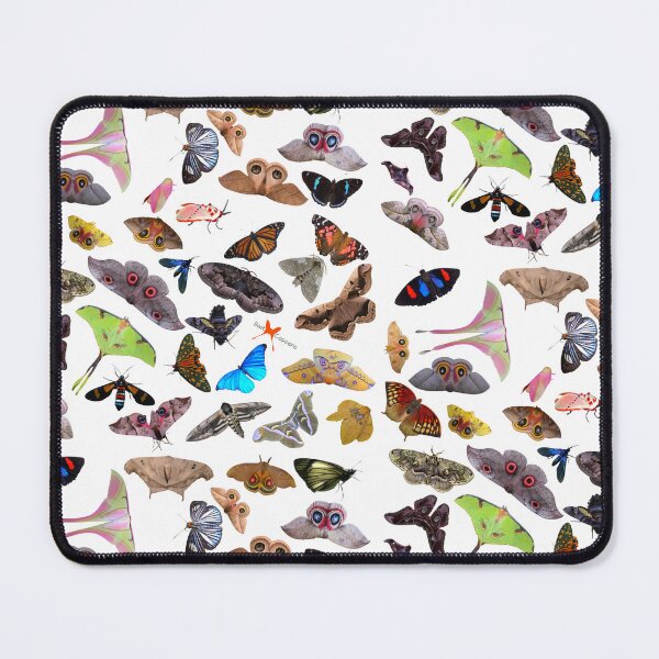 Item preview, Butterflies and Moths: Pattern by Bart Coppens  designed and sold by Entomologist.