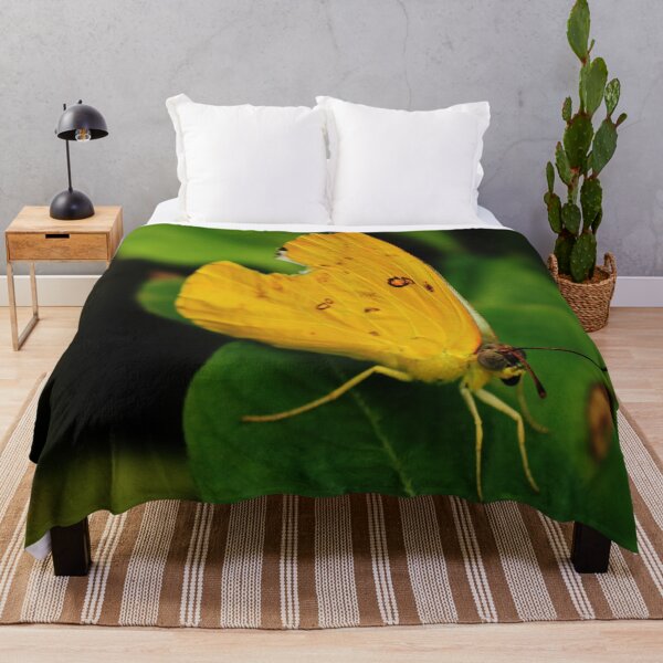 Item preview, Common Grass Yellow Butterfly, Eurema hecabe designed and sold by Geoff Treagus.