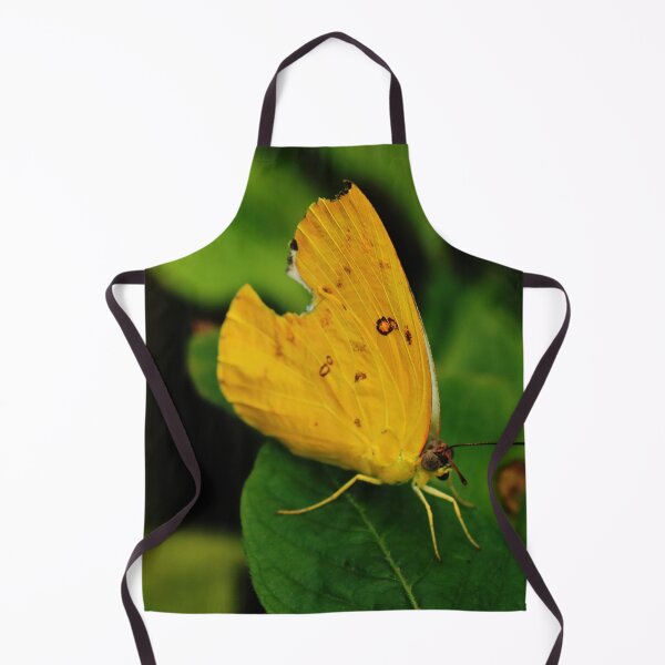 Item preview, Common Grass Yellow Butterfly, Eurema hecabe designed and sold by Geoff Treagus.