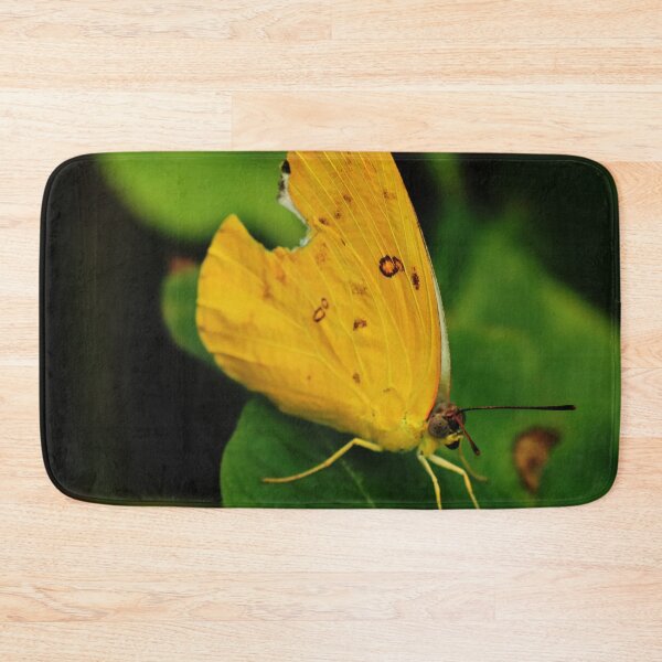 Item preview, Common Grass Yellow Butterfly, Eurema hecabe designed and sold by Geoff Treagus.