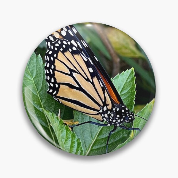 Item preview, Monarch Butterfly designed and sold by Megan Dirsa-DuBois.