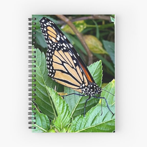 Item preview, Monarch Butterfly designed and sold by Megan Dirsa-DuBois.