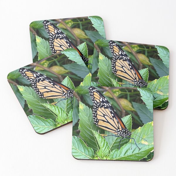Item preview, Monarch Butterfly designed and sold by Megan Dirsa-DuBois.