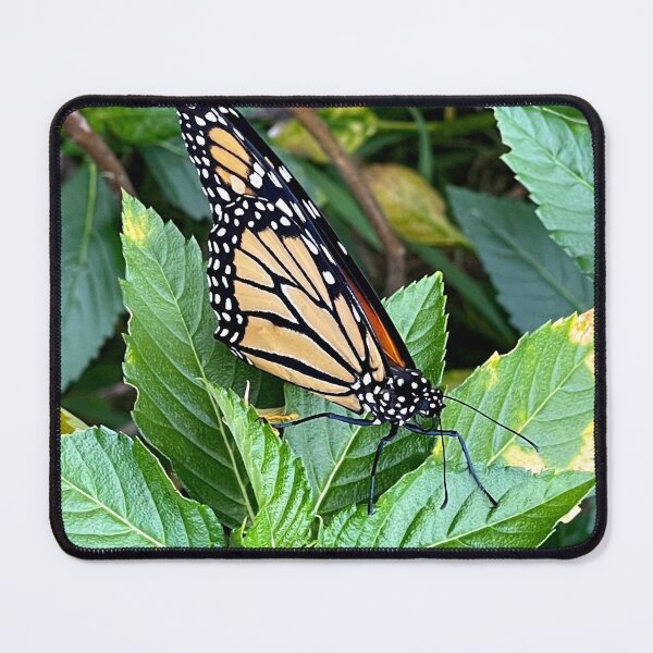 Item preview, Monarch Butterfly designed and sold by Megan Dirsa-DuBois.