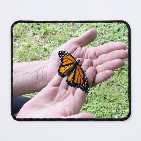 Item preview, Newly Emerged Butterfly designed and sold by Megan Dirsa-DuBois.