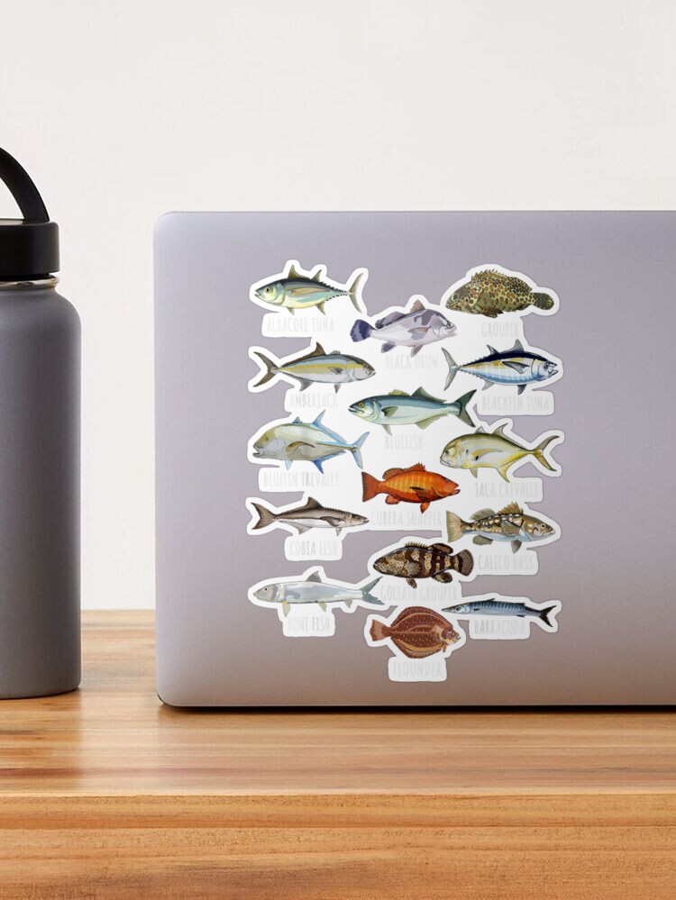 Recollections Fish Stickers - each