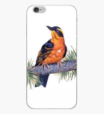 Birds In Hell iPhone Case