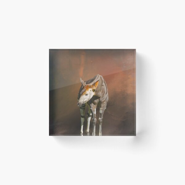Item preview, Endangered Okapi 01 designed and sold by Elisabeth Lucas.