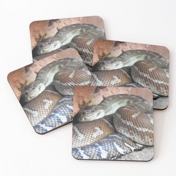 Item preview, Centralian Carpet Python  designed and sold by kirstybush.