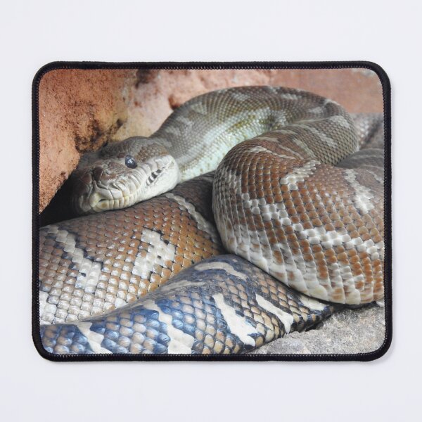 Item preview, Centralian Carpet Python  designed and sold by kirstybush.