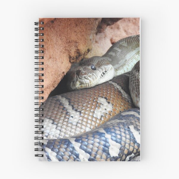 Item preview, Centralian Carpet Python  designed and sold by kirstybush.