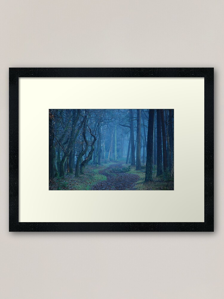 Entering The Mysterious World Of The Blue Forest Framed Art Print By Jchanders Redbubble