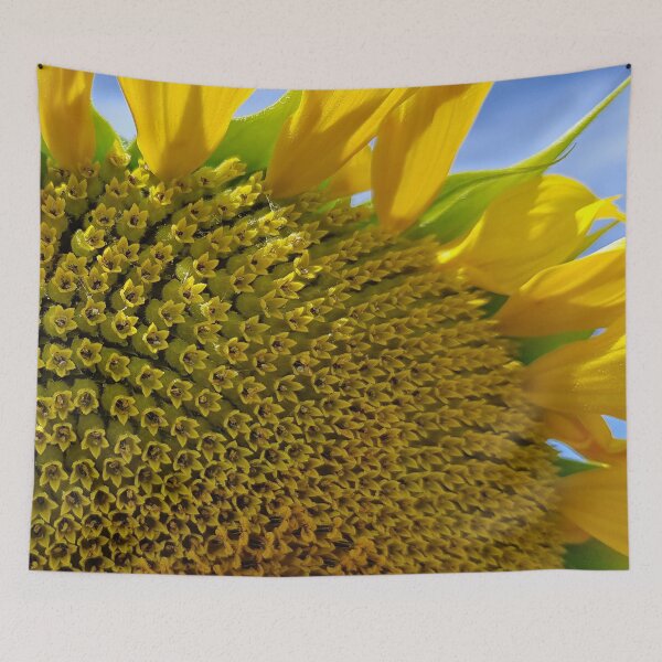 Item preview, Yellow Sunflower In Blue Sky Exquisite Close-Up  designed and sold by DEC02.