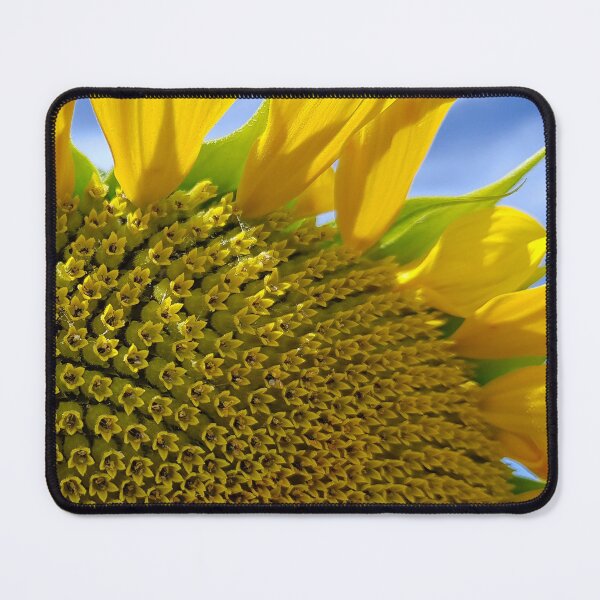Item preview, Yellow Sunflower In Blue Sky Exquisite Close-Up designed and sold by DEC02.