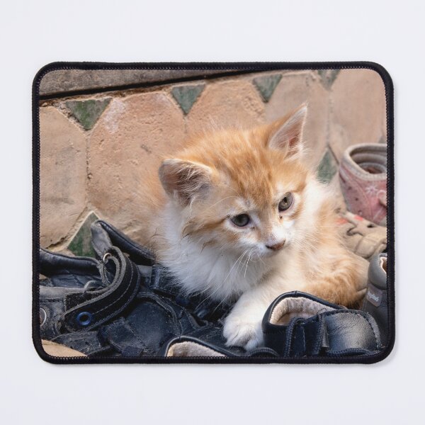 Item preview, A Cat Among the Shoes designed and sold by Marylou Badeaux.