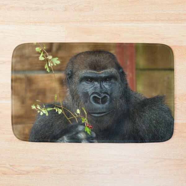 Item preview, Gorilla And His Berries designed and sold by rawshutterbug.