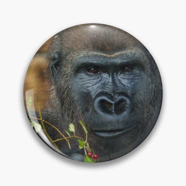 Item preview, Gorilla And His Berries designed and sold by rawshutterbug.