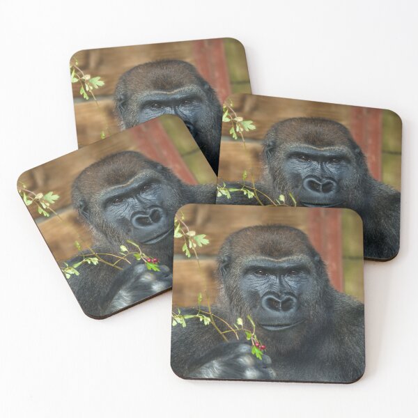 Item preview, Gorilla And His Berries designed and sold by rawshutterbug.