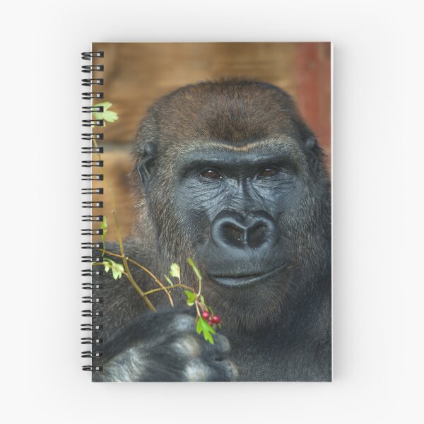 Item preview, Gorilla And His Berries designed and sold by rawshutterbug.