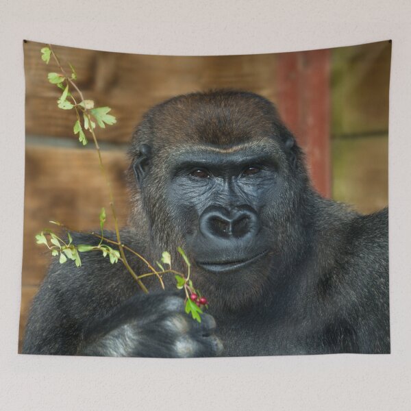 Item preview, Gorilla And His Berries designed and sold by rawshutterbug.