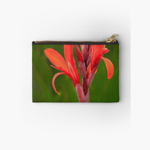 Item preview, Red Canna designed and sold by Floyd Hopper.