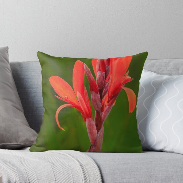 Item preview, Red Canna designed and sold by Floyd Hopper.