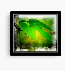 Green Canvas Print