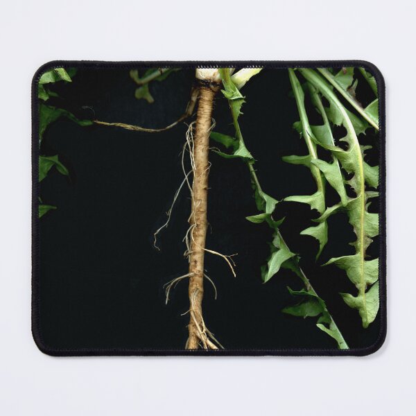Item preview, Taraxacum 1 designed and sold by Gabriele Maurus.