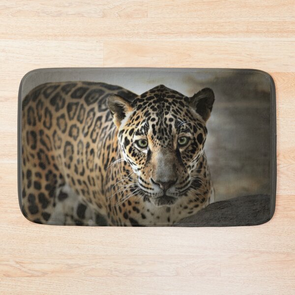 Item preview, Eye Contact  designed and sold by Savannah Gibbs.