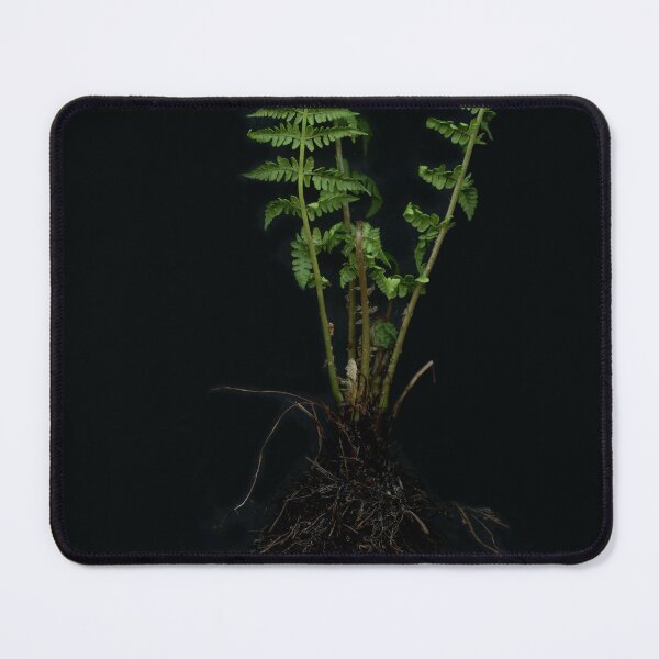 Item preview, Fern designed and sold by Gabriele Maurus.