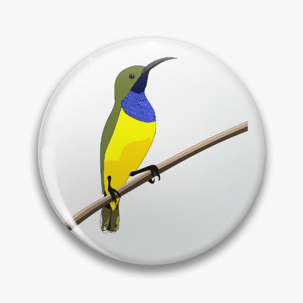 Item preview, Olive-backed Sunbird, Cairns Birders designed and sold by CairnsBirders.