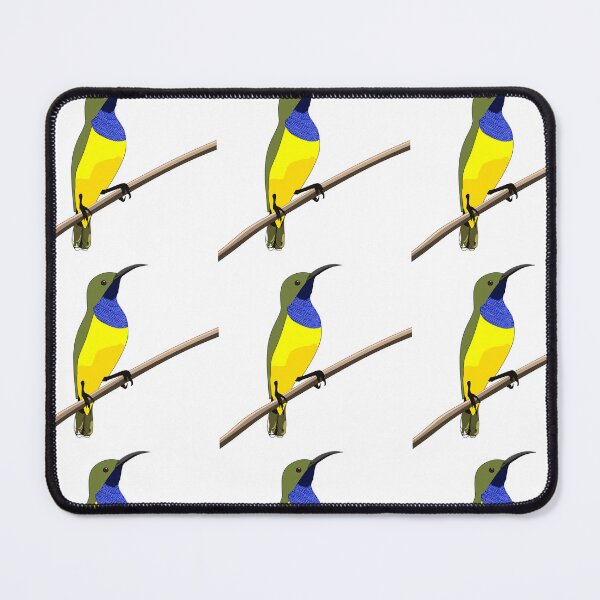 Item preview, Olive-backed Sunbird, Cairns Birders designed and sold by CairnsBirders.