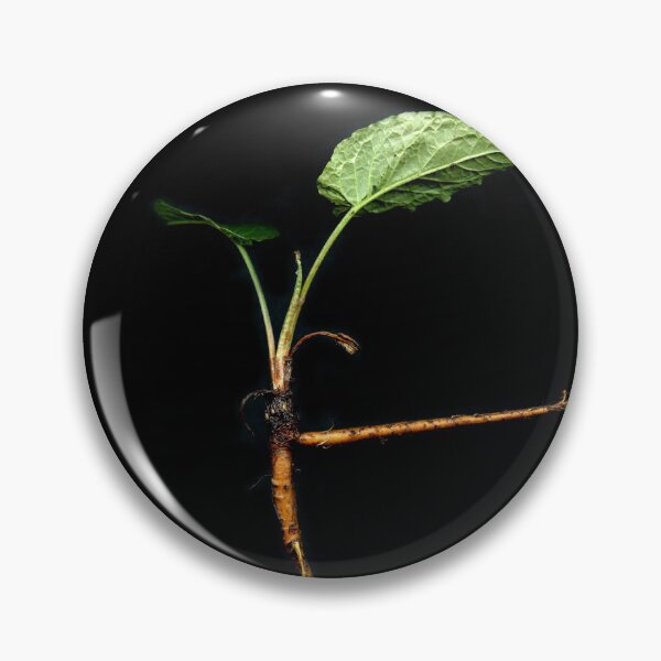 Item preview, The Ballet Sorrel designed and sold by Gabriele Maurus.