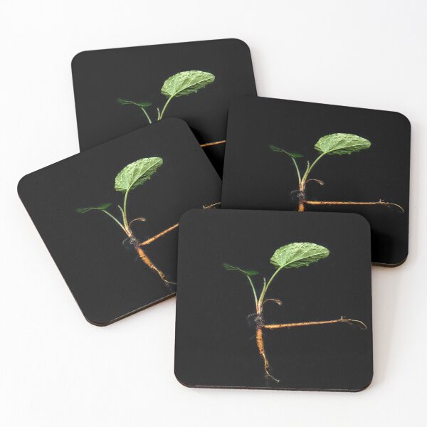 Item preview, The Ballet Sorrel designed and sold by Gabriele Maurus.