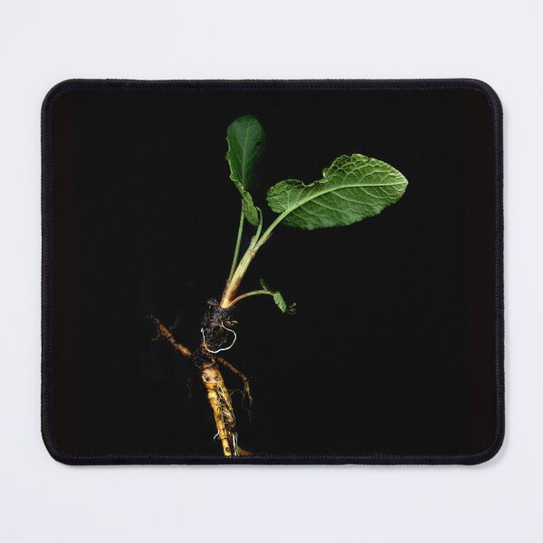 Item preview, Dancer root. designed and sold by Gabriele Maurus.