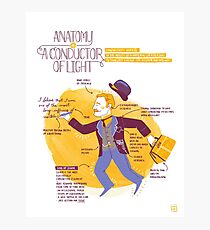 Anatomy of a Conductor of Light Photographic Print