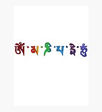 Om Mani Padme Hum Photographic Print