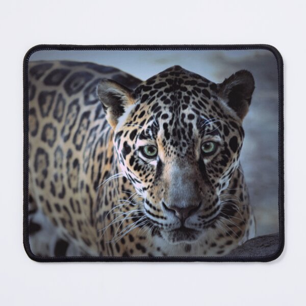 Item preview, Eye Contact  designed and sold by Savannah Gibbs.