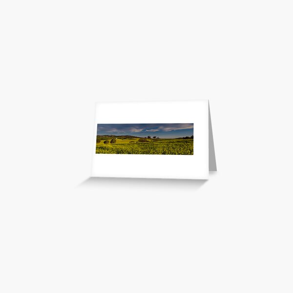 Item preview, The Canola Fields designed and sold by John Pitman.