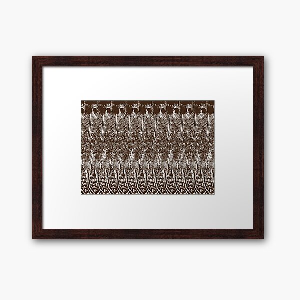 Feather Pattern | Chocolate Brown and White | Bird Feathers | Patterns in Nature | Framed Art Print