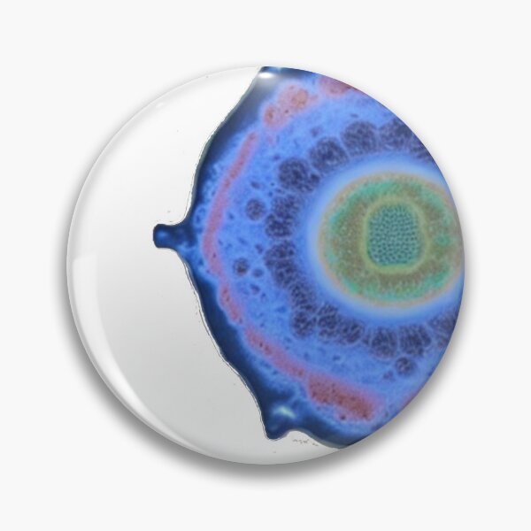 Item preview, Amoeba designed and sold by ZenoIzen.