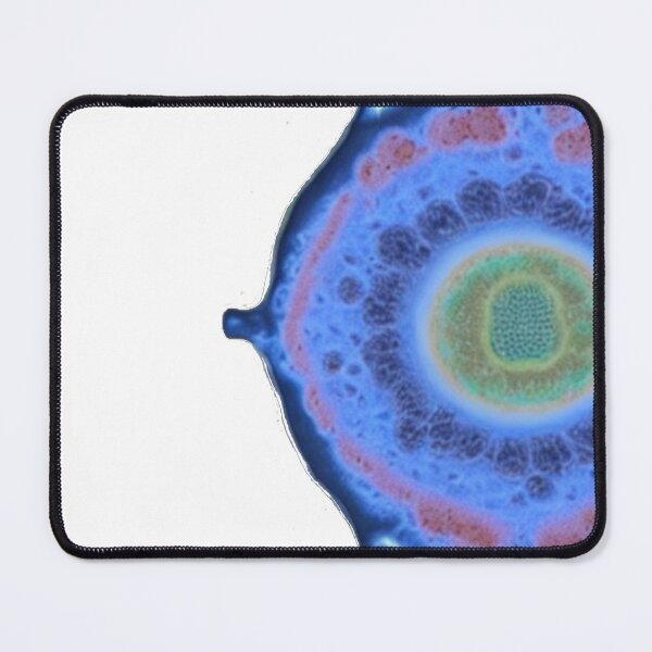 Item preview, Amoeba designed and sold by ZenoIzen.