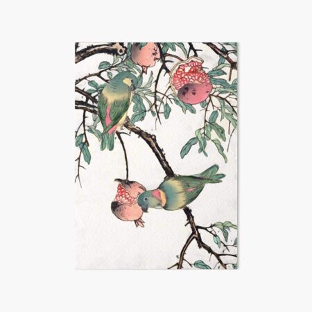 Pomegranate and Lovebirds Art Board Print