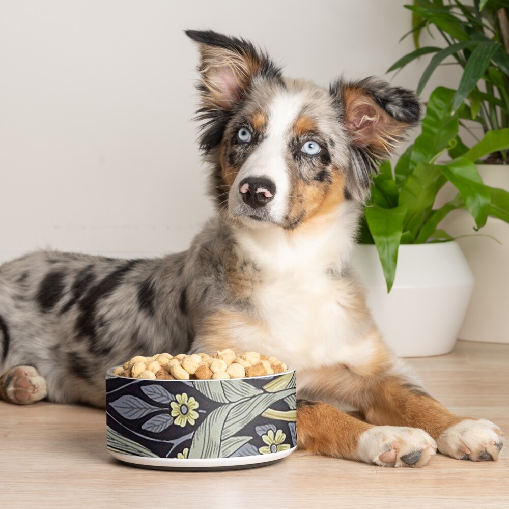 Item preview, Pet Bowl designed and sold by sibudas.