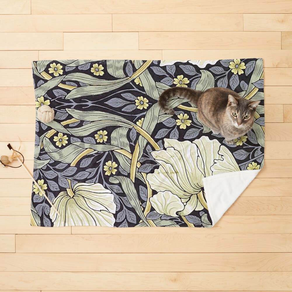 Item preview, Pet Blanket designed and sold by sibudas.