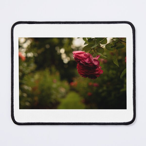 Item preview, Lonely Rose designed and sold by Timelessvisuals.