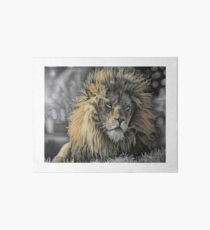 Leo Art Board