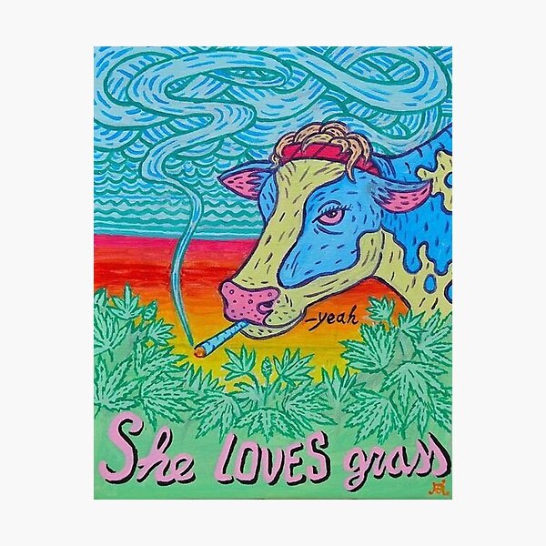 Moooo; She loves grassss Photographic Print